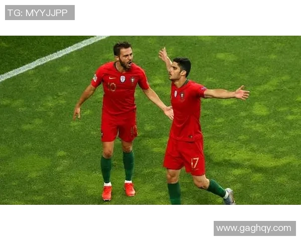 斯洛文尼亚足球球星崛起之路与国家队精彩表现全解析