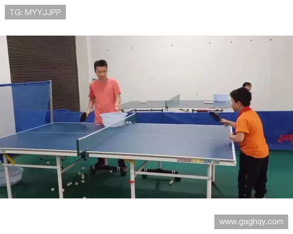乒乓球的舞台上刘磊的奋斗与荣耀之路深度对话