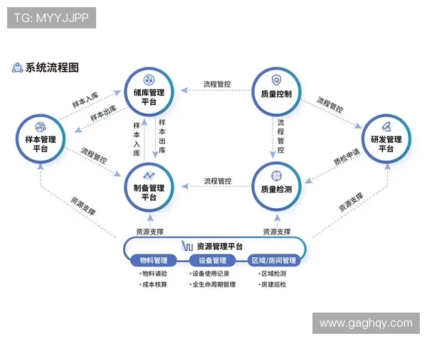 北京网球队防守革新之路探索与实践全景解析