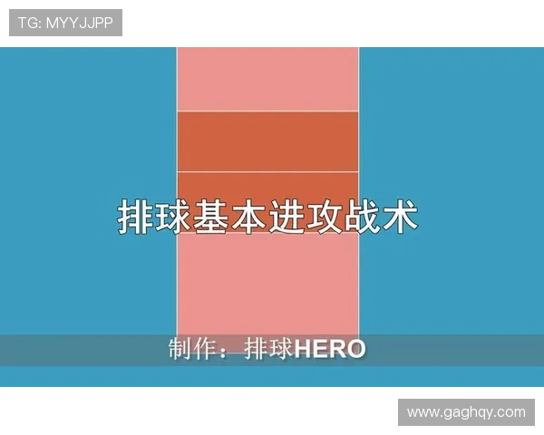 武汉排球队中路突破战术解析与实战应用探讨
