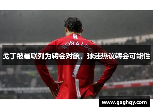 戈丁被曼联列为转会对象，球迷热议转会可能性