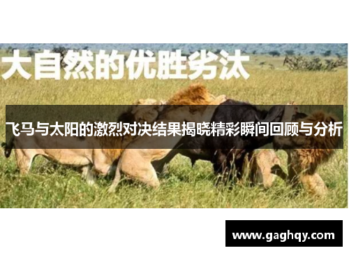 飞马与太阳的激烈对决结果揭晓精彩瞬间回顾与分析